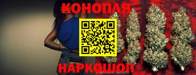 mdma Аргун