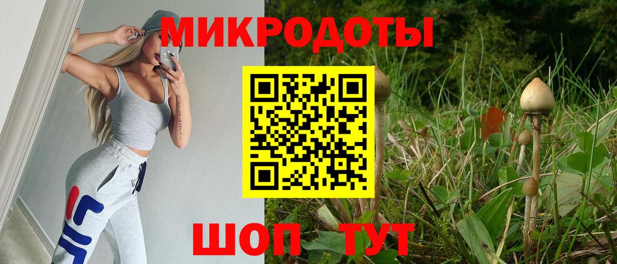 где продают наркотики  Галлюциногенные грибы GOLDEN TEACHER  Вольск  Вход с VPN  Псилоцибиновые грибы Psilocybine cubensis 
